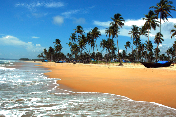 Feature Image