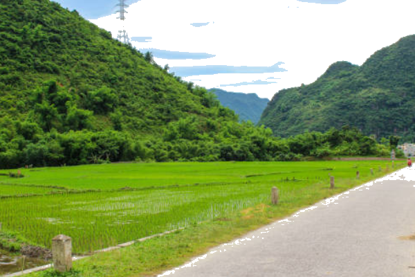 Feature Image